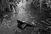 پل چوبی کیاشهر