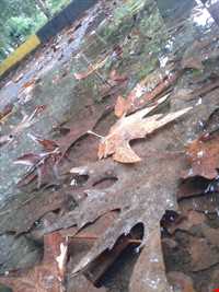 beach park - astane ashrafieh