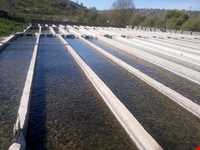 سراب ناوه کش