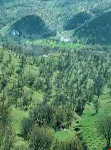 پارک جنگلی شورآب