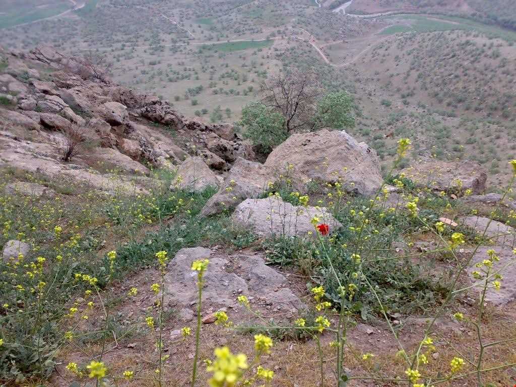 Shourab natural park