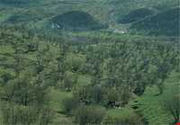 Shourab natural park