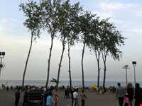 منطقه آزاد تجاری کاسپین