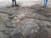 منطقه آزاد تجاری کاسپین