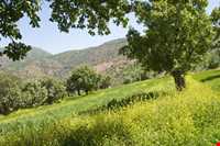 منطقه حفاظت شده هلن