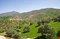 منطقه حفاظت شده هلن