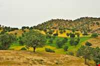 منطقه حفاظت شده هلن