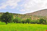 منطقه حفاظت شده هلن