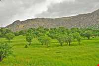 منطقه حفاظت شده هلن