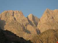 منطقه مشایخ