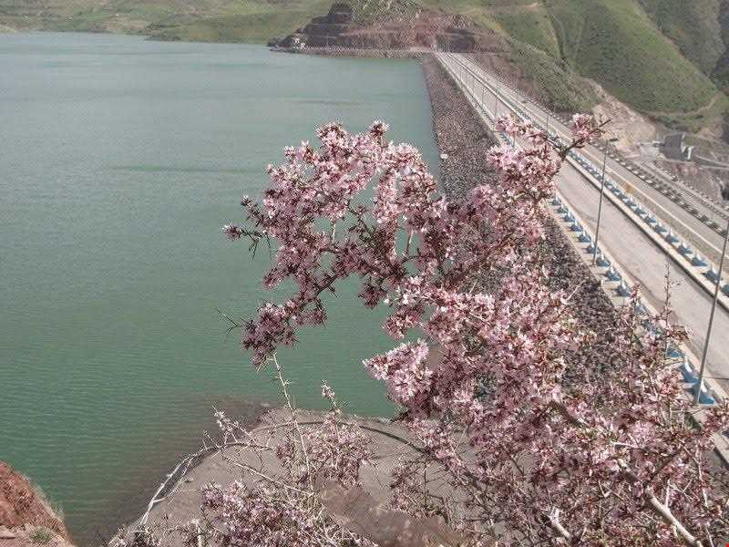 Gavoshan Dam