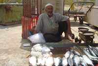 رودخانه کارون