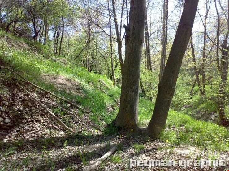 روستای کندوله