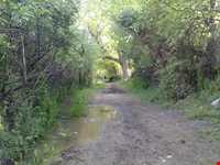 روستای کندوله