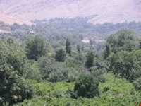 روستای کندوله