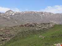 منطقه حفاظت شده بیستون