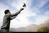 منطقه حفاظت شده بیستون