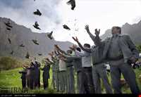 منطقه حفاظت شده بیستون