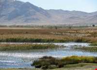 Solghan wetland