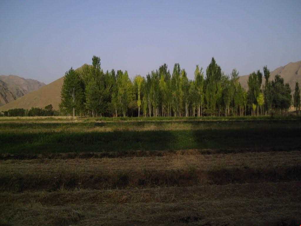روستای سورک