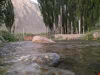 روستای سورک