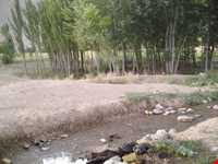 روستای سورک