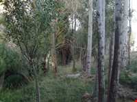 روستای سورک