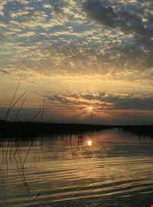 تالاب شادگان