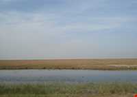 تالاب شادگان