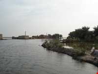 تالاب شادگان