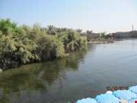 تالاب شادگان