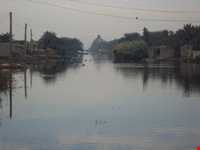 تالاب شادگان