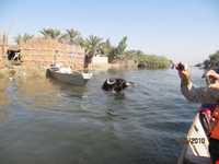 تالاب شادگان