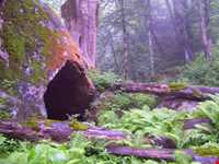 روستای فوشه - غار خون فوشه