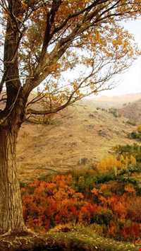 دره مرادبیگ