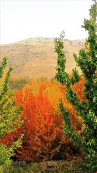 دره مرادبیگ