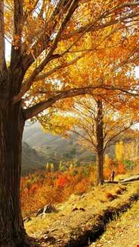 دره مرادبیگ