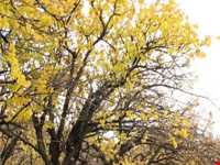 دره مرادبیگ