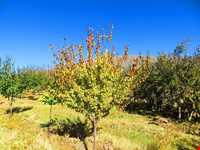 روستای خان آباد