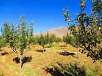 روستای خان آباد