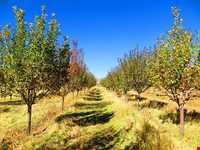 روستای خان آباد