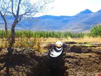روستای خان آباد