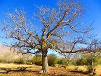 روستای خان آباد