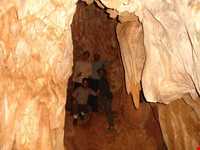 روستای خان آباد