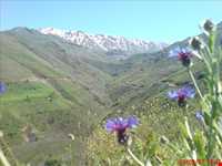 منطقه اشکورات