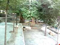 منطقه تفریحی سیاحتی سیاسرد