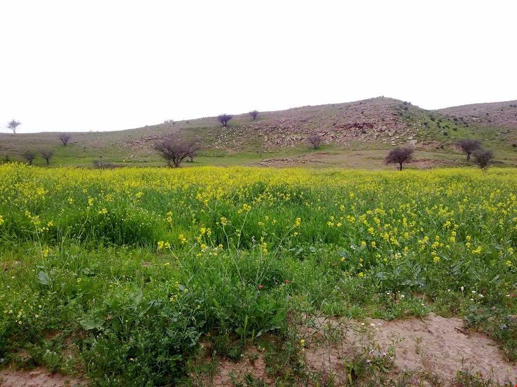 Haft (Seven) Shahidan protected area