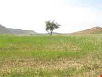 Haft (Seven) Shahidan protected area