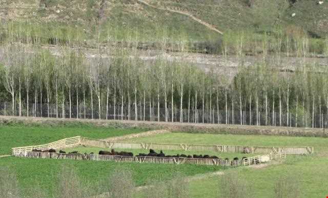 روستای ایستا - ( منتظران )