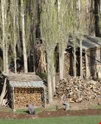 روستای ایستا - ( منتظران )